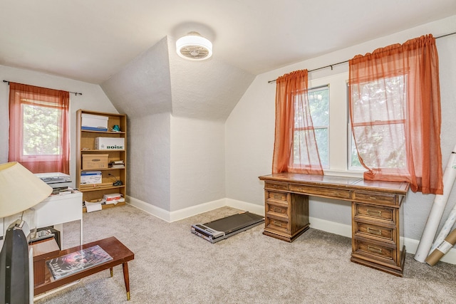 3807 Hubbard Ave N, Robbinsdale, MN 55422 - carpeted office space with lofted ceiling and baseboards