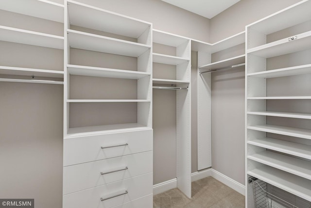 4110 Osprey Ct NE, Prior Lake, MN 55372 - spacious closet with carpet