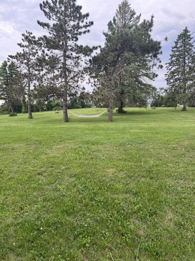 8339 71st St, West Concord, MN 55985 - view of grassy yard