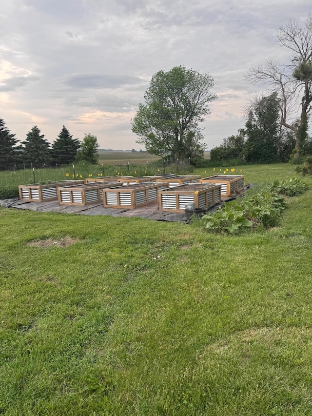 8339 71st St, West Concord, MN 55985 - yard at dusk featuring a vegetable garden and a lawn