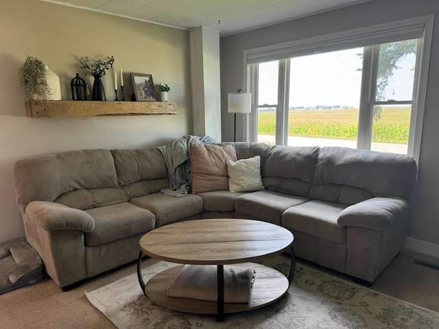 8339 71st St, West Concord, MN 55985 - living room with healthy amount of natural light and carpet floors