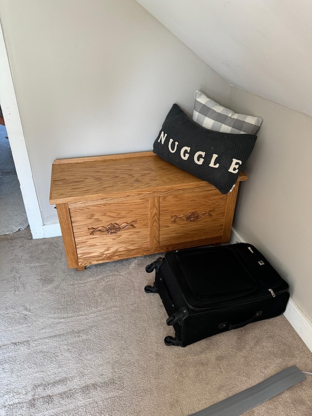 8339 71st St, West Concord, MN 55985 - detailed view of carpet floors and baseboards