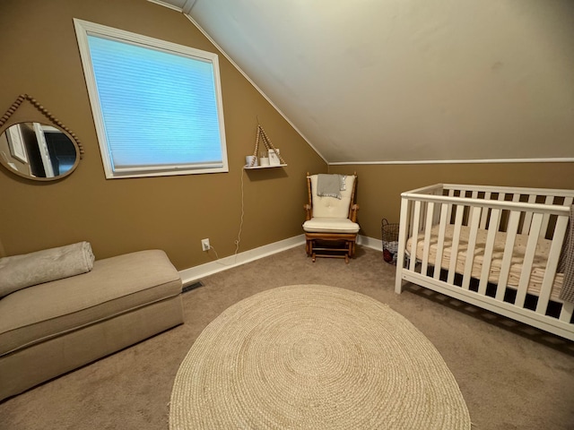 8339 71st St, West Concord, MN 55985 - carpeted bedroom featuring vaulted ceiling and baseboards