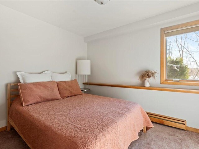 10047 Cove Pointe Rd, Brainerd, MN 56401 - photo 40
