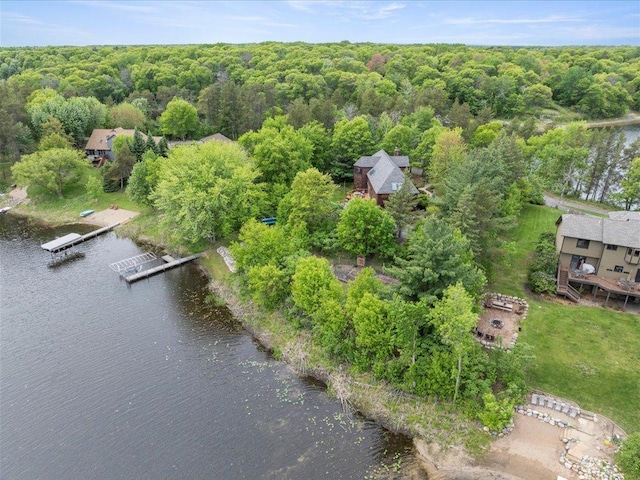 10047 Cove Pointe Rd, Brainerd, MN 56401 - photo 54