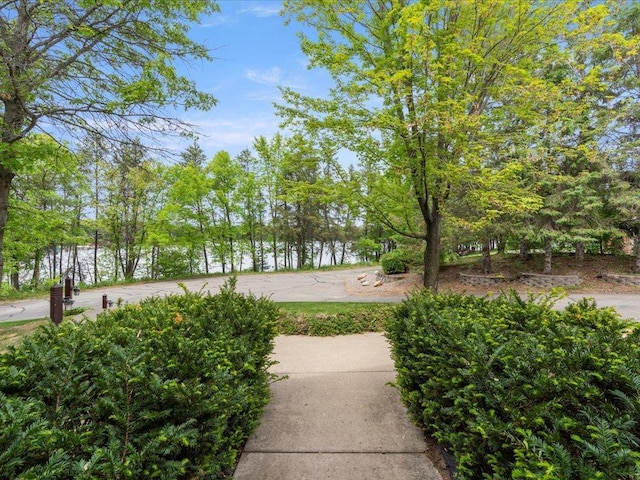 10047 Cove Pointe Rd, Brainerd, MN 56401 - photo 58