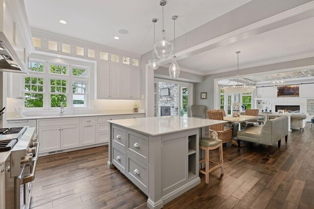 3758 Woodland Cove Pkwy, Minnetrista, MN 55331 - kitchen featuring high end stove, light countertops, dark wood-type flooring, white cabinetry, and a kitchen island