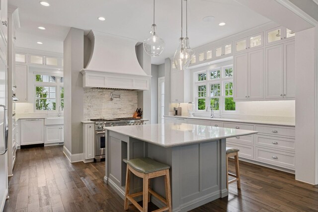 3758 Woodland Cove Pkwy, Minnetrista, MN 55331 - kitchen with high end stainless steel range, white cabinets, custom range hood, and recessed lighting