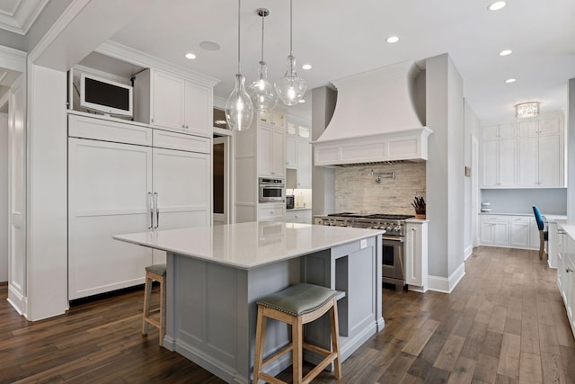 3758 Woodland Cove Pkwy, Minnetrista, MN 55331 - kitchen featuring stainless steel appliances, premium range hood, decorative backsplash, white cabinetry, and dark wood-type flooring