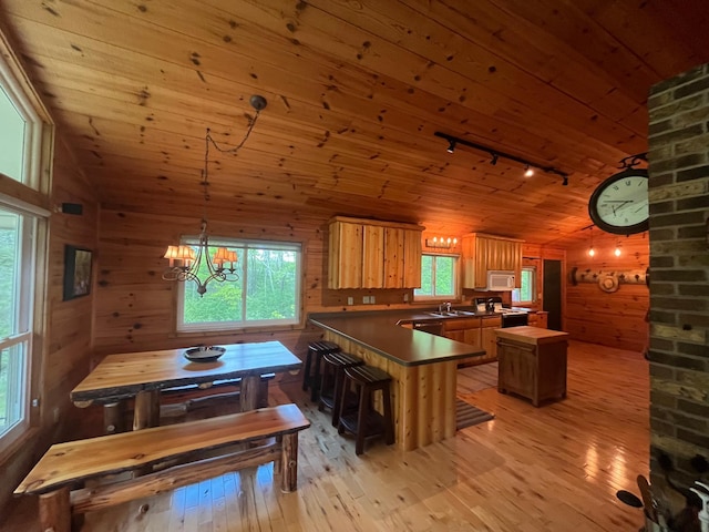 6543 Point Dr, Ideal Twp, MN 56474 - kitchen with track lighting, vaulted ceiling, light wood-style floors, white appliances, and wood ceiling