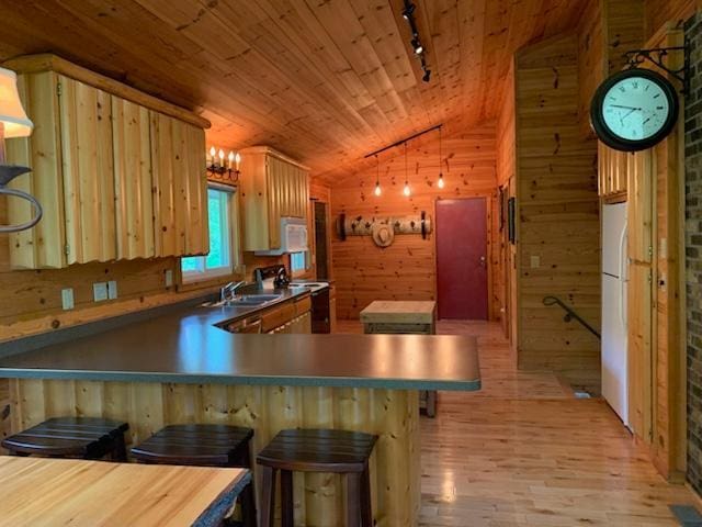 6543 Point Dr, Ideal Twp, MN 56474 - kitchen featuring white appliances, rail lighting, lofted ceiling, light wood finished floors, and wooden ceiling