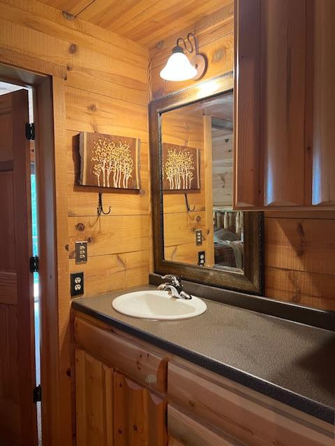 6543 Point Dr, Ideal Twp, MN 56474 - bathroom with wooden walls and vanity