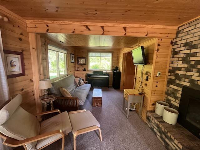 6543 Point Dr, Ideal Twp, MN 56474 - sitting room featuring wooden ceiling, wood walls, dark carpet, and a fireplace