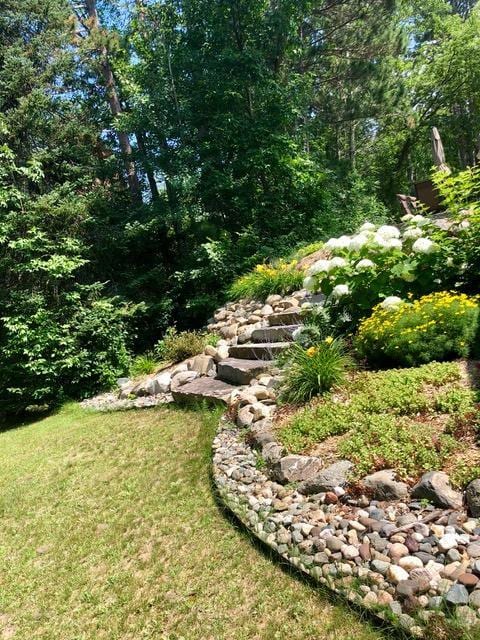 6543 Point Dr, Ideal Twp, MN 56474 - view of green lawn featuring a view of trees