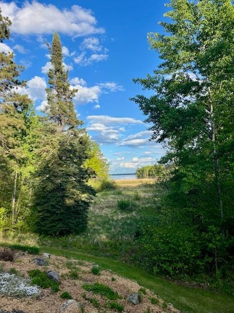 6543 Point Dr, Ideal Twp, MN 56474 - view of wooded area