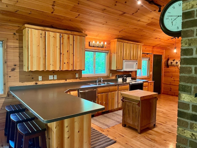 6543 Point Dr, Ideal Twp, MN 56474 - photo 6