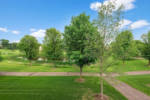 11076 16th St NE, Saint Michael, MN 55376 - photo 24