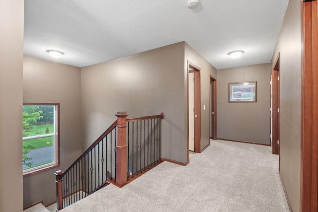 4027 148th Ln NE, Ham Lake, MN 55304 - hallway featuring an upstairs landing, carpet floors, and a textured ceiling