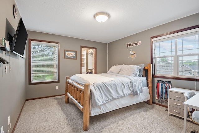 4027 148th Ln NE, Ham Lake, MN 55304 - bedroom featuring multiple windows and light carpet