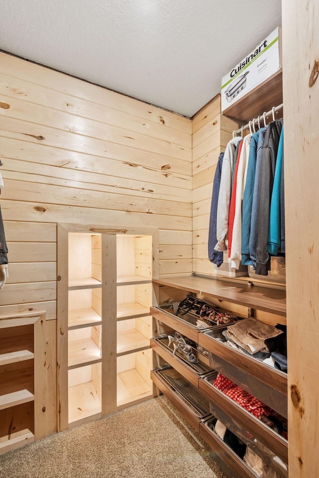 4027 148th Ln NE, Ham Lake, MN 55304 - walk in closet with carpet flooring