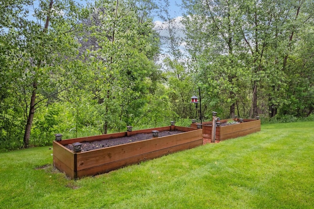 4027 148th Ln NE, Ham Lake, MN 55304 - view of grassy yard featuring a vegetable garden