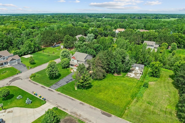 4027 148th Ln NE, Ham Lake, MN 55304 - drone / aerial view of a forest