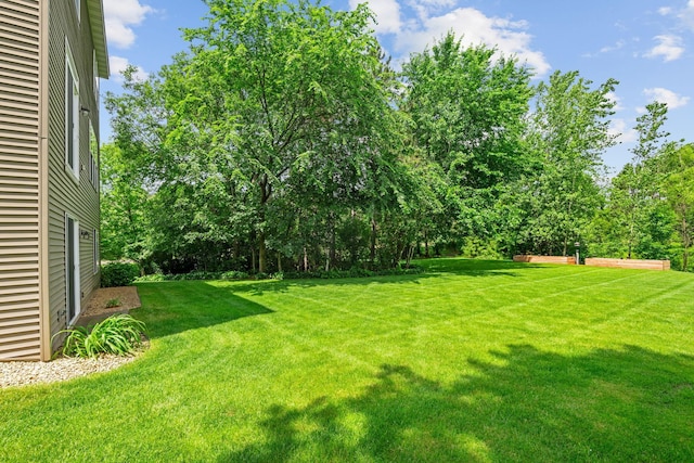4027 148th Ln NE, Ham Lake, MN 55304 - view of green lawn with view of scattered trees