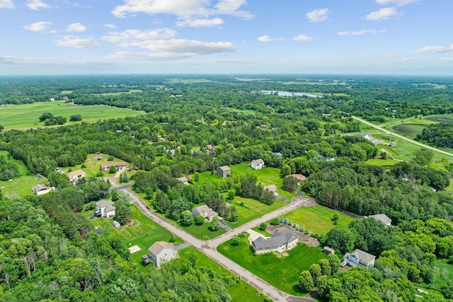 4027 148th Ln NE, Ham Lake, MN 55304 - aerial view of a forest