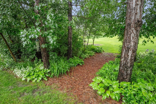 4027 148th Ln NE, Ham Lake, MN 55304 - view of nature
