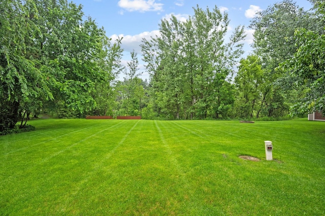 4027 148th Ln NE, Ham Lake, MN 55304 - view of grassy yard