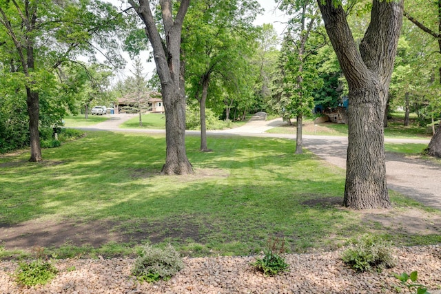 13500 190th Ave NW, Elk River, MN 55330 - view of grassy yard