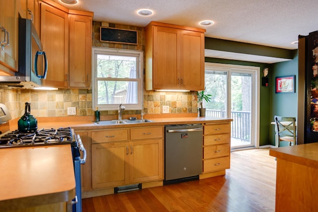 13500 190th Ave NW, Elk River, MN 55330 - kitchen featuring appliances with stainless steel finishes, a sink, healthy amount of natural light, light wood-style flooring, and a textured ceiling