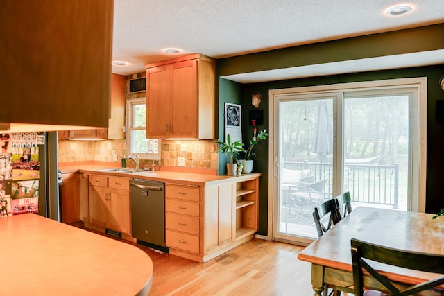 13500 190th Ave NW, Elk River, MN 55330 - kitchen with stainless steel dishwasher, a sink, light brown cabinetry, backsplash, and light countertops