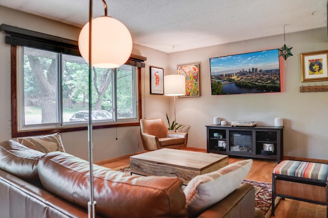 13500 190th Ave NW, Elk River, MN 55330 - living area with wood finished floors, baseboards, and a textured ceiling