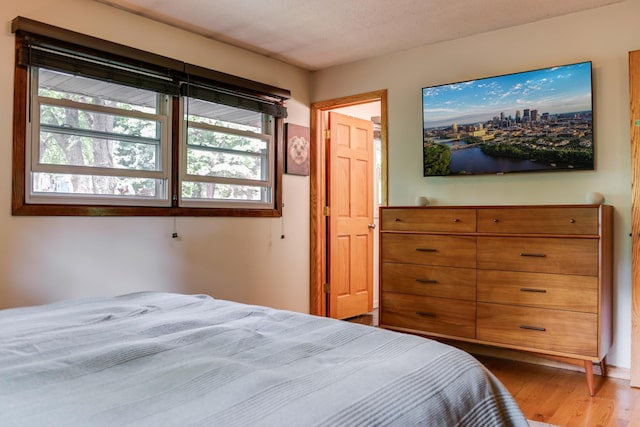 13500 190th Ave NW, Elk River, MN 55330 - bedroom featuring wood finished floors