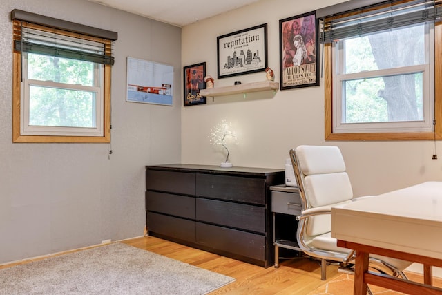 13500 190th Ave NW, Elk River, MN 55330 - office space with light wood-style flooring