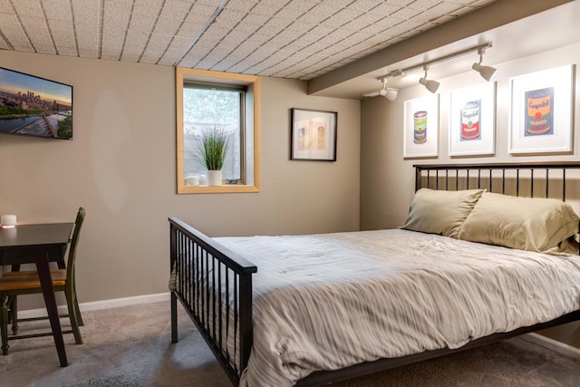 13500 190th Ave NW, Elk River, MN 55330 - bedroom with rail lighting, carpet flooring, and baseboards