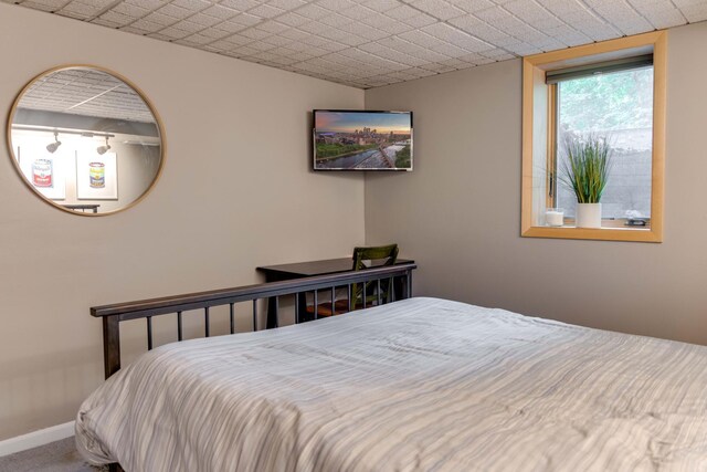 13500 190th Ave NW, Elk River, MN 55330 - bedroom with baseboards