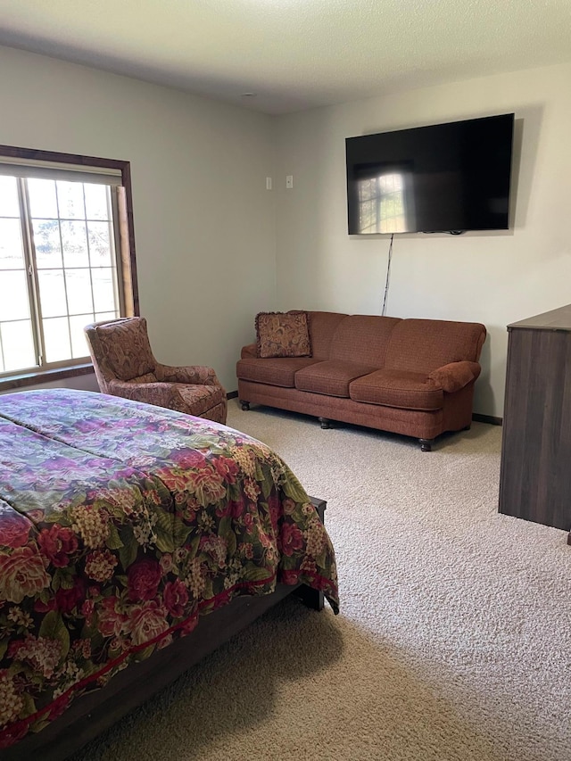 724 6th St NW, Richmond, MN 56368 - photo 37