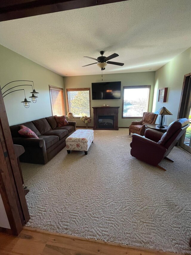 724 6th St NW, Richmond, MN 56368 - photo 46
