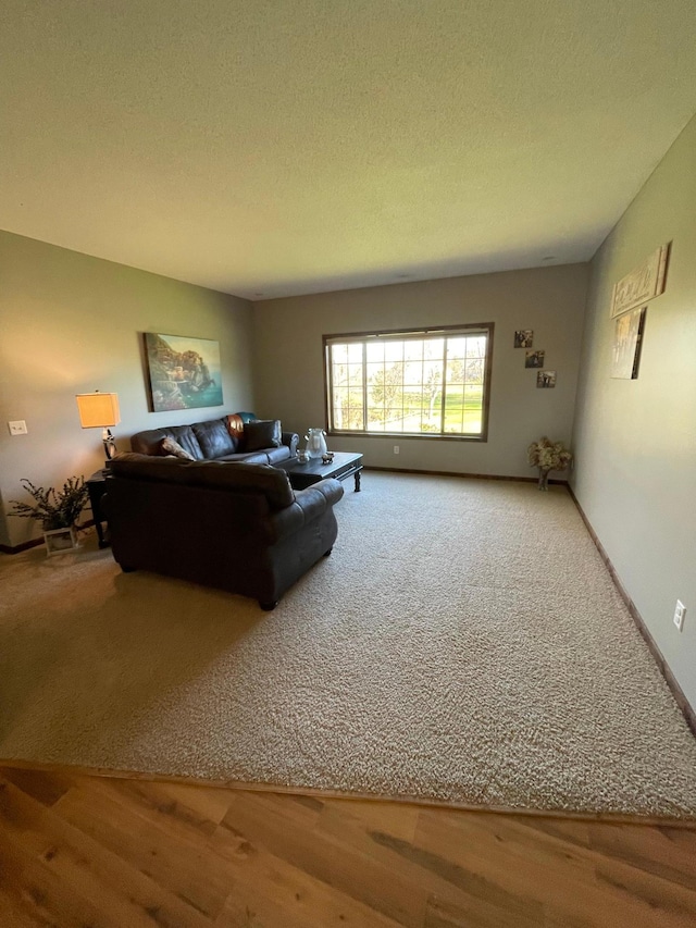 724 6th St NW, Richmond, MN 56368 - photo 56