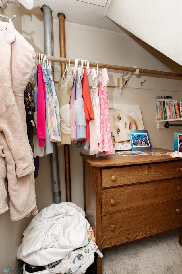 1345 4th St N, Fargo, ND 58102 - walk in closet with carpet