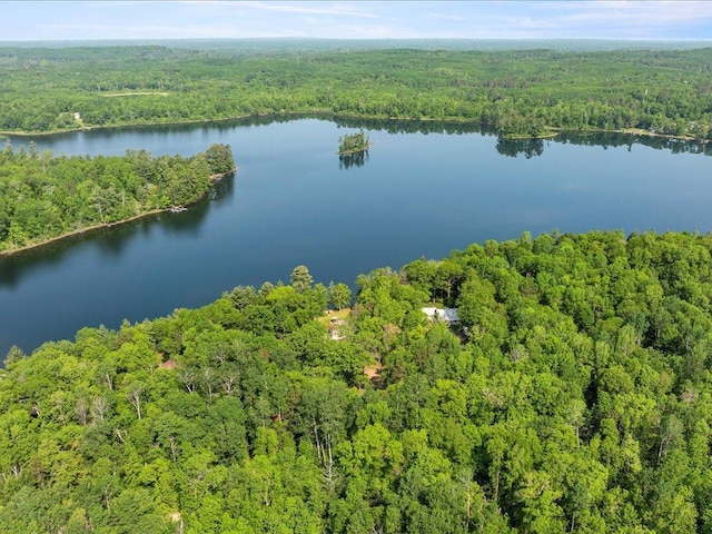TBD 15th Ave NW, Backus, MN 56435