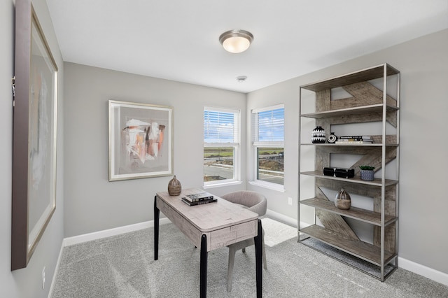 14429 Allerton Way, Rosemount, MN 55068 - office space featuring baseboards and carpet