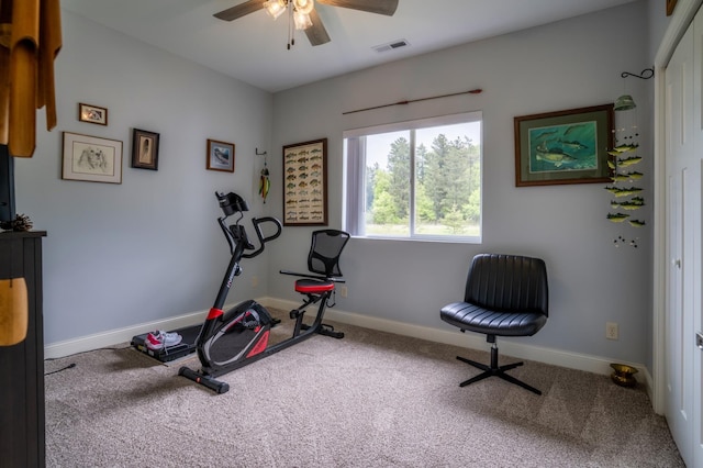 1320 Whiting Rd NW Unit 71, Bemidji, MN 56601 - workout room with carpet, ceiling fan, and baseboards