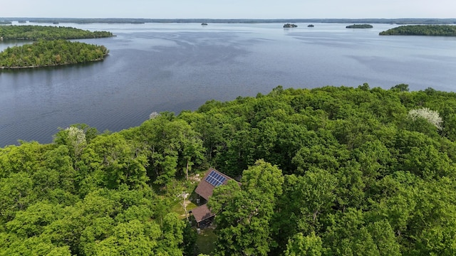 4251 Sugar Pt, Orr, MN 55771 - aerial view of a large body of water and a heavily wooded area