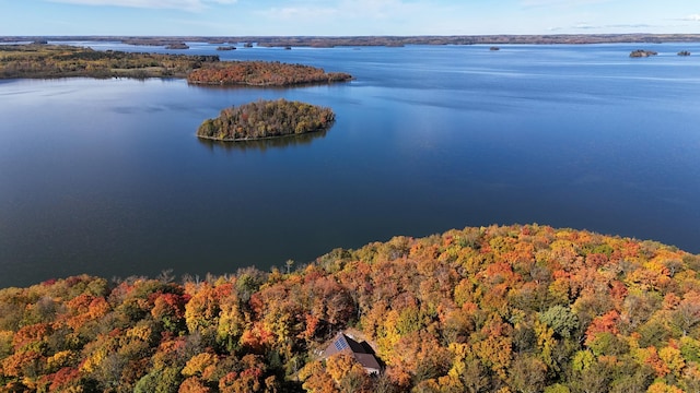 4251 Sugar Pt, Orr, MN 55771 - bird's eye view of a heavily wooded area and a large body of water