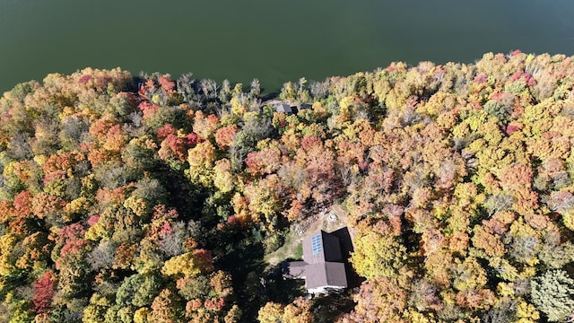 4251 Sugar Pt, Orr, MN 55771 - aerial view of property and surrounding area featuring a heavily wooded area