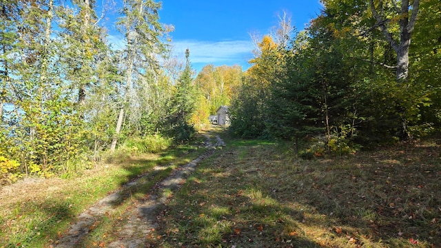 4251 Sugar Pt, Orr, MN 55771 - view of woods