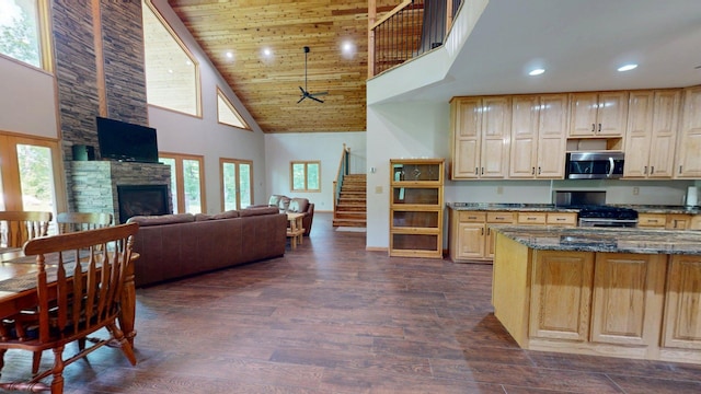 4251 Sugar Pt, Orr, MN 55771 - kitchen featuring appliances with stainless steel finishes, high vaulted ceiling, dark wood-style flooring, a fireplace, and dark stone counters
